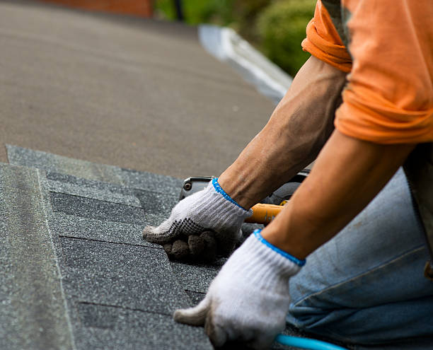 Best Flat Roof Repair Services  in Polson, MT