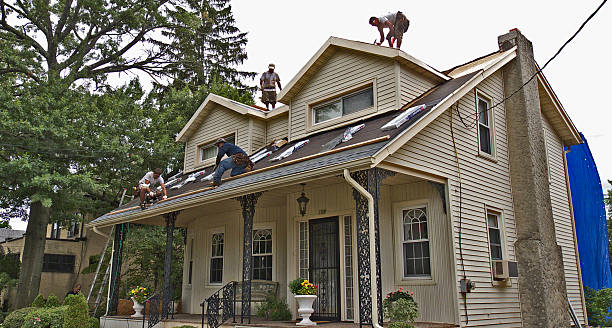 Best Storm Damage Roof Repair  in Polson, MT